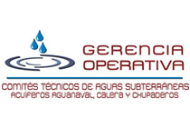 Logo Cotas Gerencia Operativa